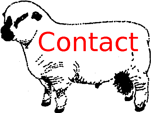 Contact